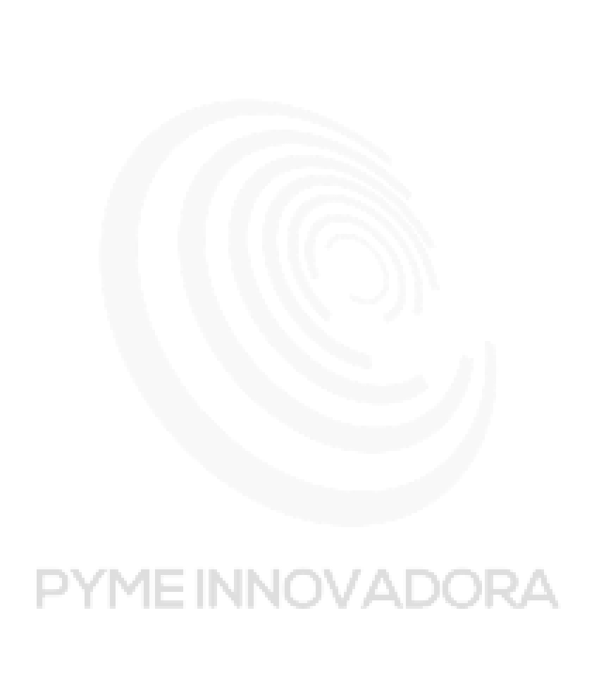 Pyme Innovadora